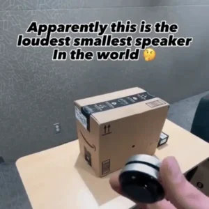 Treasures of the Dragon