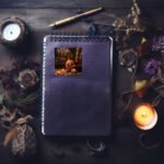 il 794xN.5658800020 g0vg