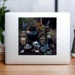 il 794xN.5660282656 3uty