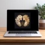 il 794xN.5669549288 9kpy