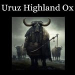 il 794xN.5706642267 pk14