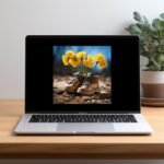 il 794xN.5706696135 f4wc