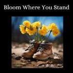 il 794xN.5706696153 ht8d