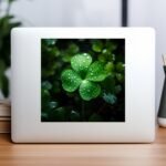 il fullxfull.5658984846 fa4k