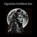 il fullxfull.5668348902 pieb