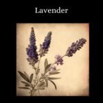 il fullxfull.5669790650 8ovi