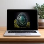 il fullxfull.5669798282 3xwk