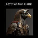 il fullxfull.5669823796 pcd6