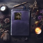 il fullxfull.5669823860 sxt3