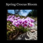 il fullxfull.5690193884 c5o0