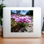 il fullxfull.5690193896 24kk