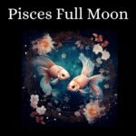 il fullxfull.5706523873 czzj