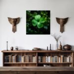 il fullxfull.5707040591 3upp