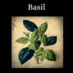 il fullxfull.5716021373 tde5