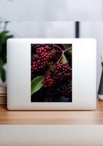 il fullxfull.5717442438 1bd9 scaled 1