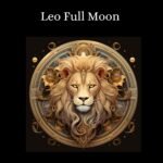 il fullxfull.5717511019 r56z