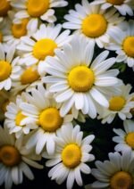 il fullxfull.5733075226 s8uj scaled 1