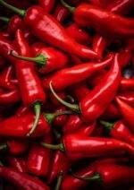 il fullxfull.5733104524 oado scaled 1