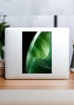 il fullxfull.5733120020 m402 scaled 1