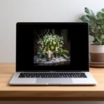 il fullxfull.5738164739 kvk9