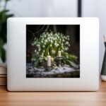 il fullxfull.5738164757 2yil