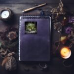 il fullxfull.5738164775 ph2o