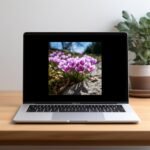 il fullxfull.5738231095 bf4d