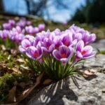 il fullxfull.5738231165 qsln