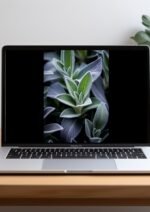 il fullxfull.5765492355 lrde scaled 1