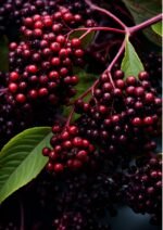 il fullxfull.5765510805 i57q scaled 1